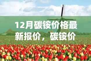 碳铵价格最新动态,与自然美景相遇,探寻内心宁静之旅