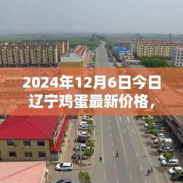揭秘!2024年辽宁鸡蛋最新行情及价格走势