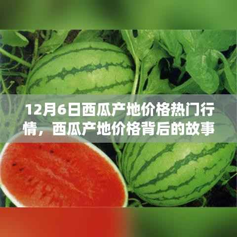 12月6日西瓜产地价格深度解析，变化的力量与自信的种子