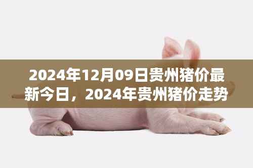 2024年贵州猪价走势分析与深度探讨,最新今日猪价及未来趋势
