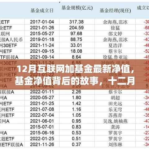 十二月互联网加基金最新净值,温情陪伴背后的投资故事