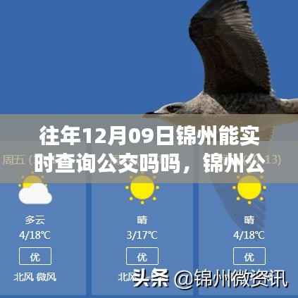 锦州公交实时查询系统升级,智能出行新体验,科技生活触手可及