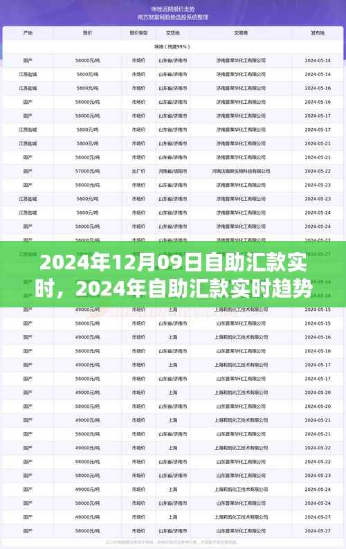 自助汇款实时趋势下的金融革新,机遇与挑战并存(2024年12月09日)