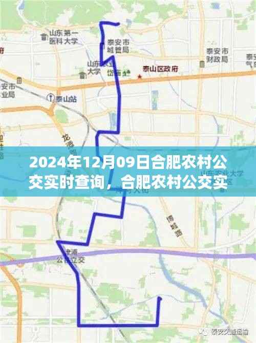 合肥农村公交实时查询系统使用指南,初学者与进阶用户通用(2024年12月09日版)