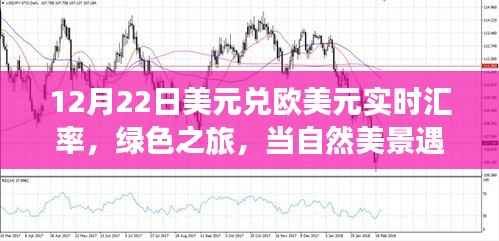 美元与欧元邂逅绿色之旅,汇率波动下的自然美景实时汇率观察
