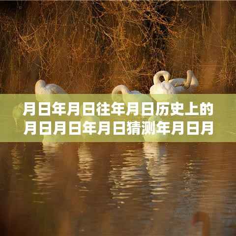 东营空气质量实时监控,历史变迁与月日探秘