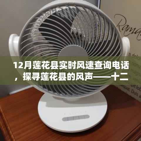 探寻莲花县风声,十二月实时风速查询电话全解析