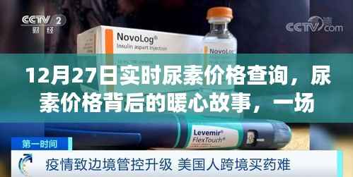 尿素价格背后的暖心故事,友情与陪伴的查询之旅