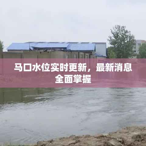 马口水位实时更新,最新消息全面掌握
