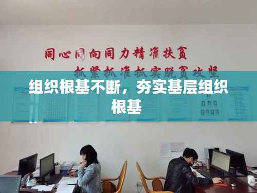 组织根基不断,夯实基层组织根基