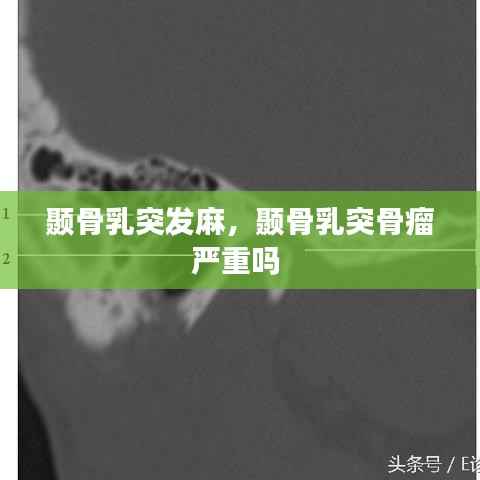 政策法规 第118页