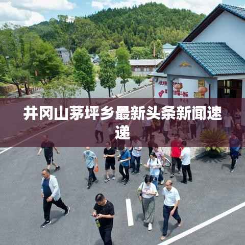 井冈山茅坪乡最新头条新闻速递