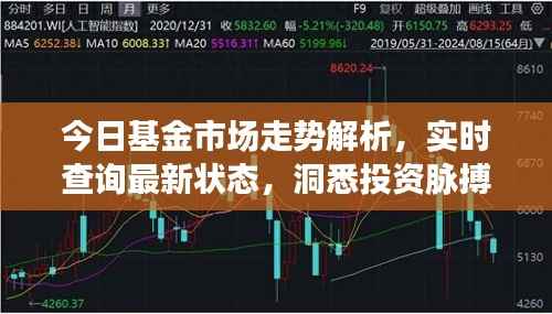 今日基金市场走势解析,实时查询最新状态,洞悉投资脉搏,把握财富机遇!