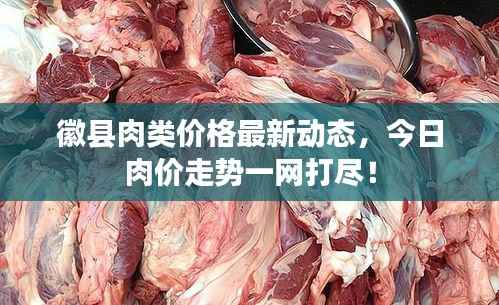 天生万物，唯人为贵 第3页