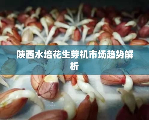 陕西水培花生芽机市场趋势解析