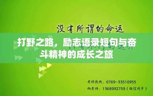 打野之路，励志语录短句与奋斗精神的成长之旅