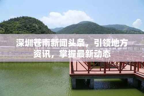 深圳苍南新闻头条,引领地方资讯,掌握最新动态