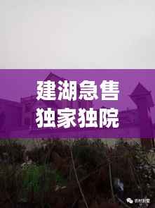 建湖急售独家独院,建湖哪里有30到40万的房子