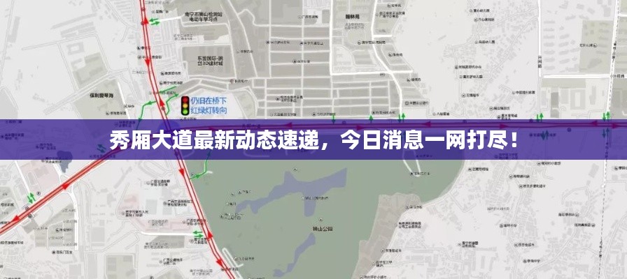 秀厢大道最新动态速递,今日消息一网打尽!