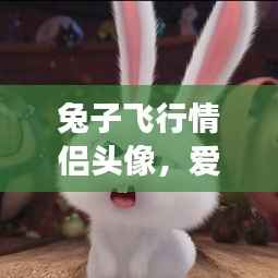 兔子飞行情侣头像,爱情与梦想交织的完美象征