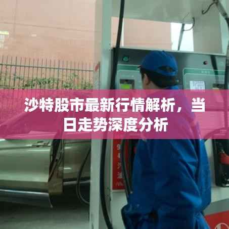 沙特股市最新行情解析,当日走势深度分析