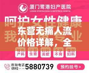 东营无痛人流价格详解，全面解析与比较