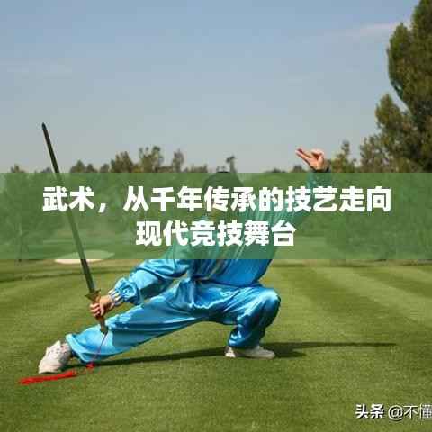 武术，从千年传承的技艺走向现代竞技舞台