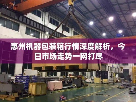 惠州机器包装箱行情深度解析,今日市场走势一网打尽