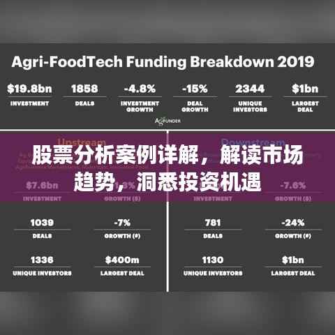 股票分析案例详解，解读市场趋势，洞悉投资机遇