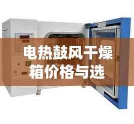 电热鼓风干燥箱价格与选购指南解析