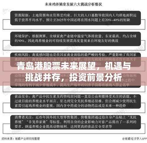 青岛港股票未来展望,机遇与挑战并存,投资前景分析