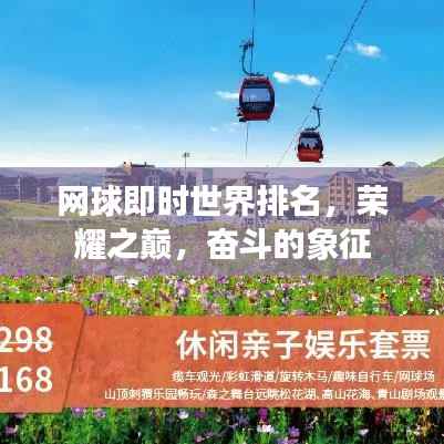 网球即时世界排名,荣耀之巅,奋斗的象征