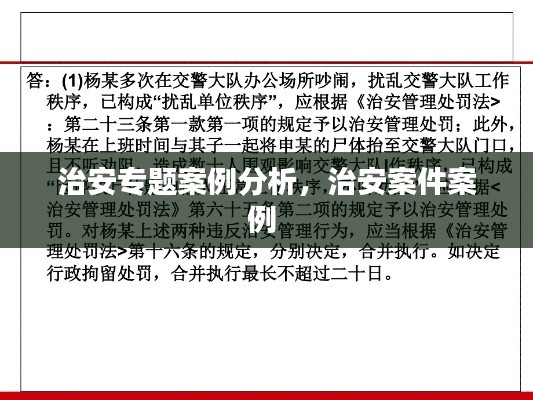 治安专题案例分析,治安案件案例