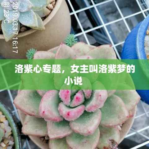 洛紫心专题,女主叫洛紫梦的小说