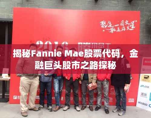 揭秘Fannie Mae股票代码,金融巨头股市之路探秘