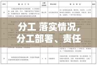 分工 落实情况，分工部署、责任落实 