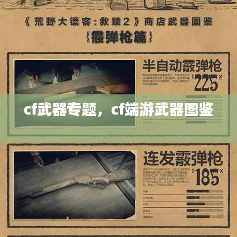 cf武器专题，cf端游武器图鉴 