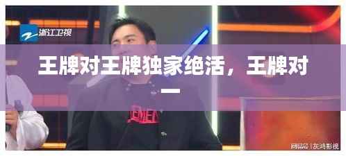王牌对王牌独家绝活,王牌对一
