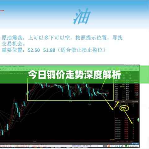 鸟覆危巢 第2页