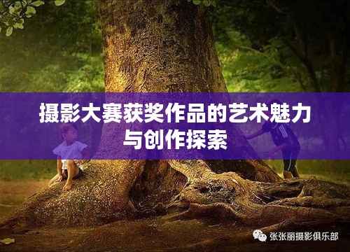 摄影大赛获奖作品的艺术魅力与创作探索