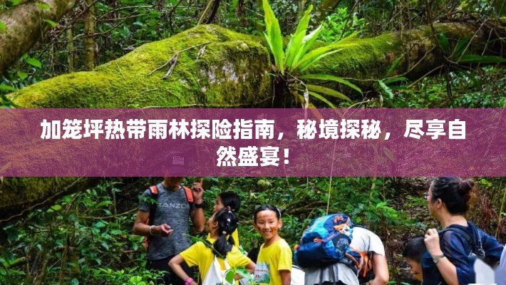 加笼坪热带雨林探险指南，秘境探秘，尽享自然盛宴！