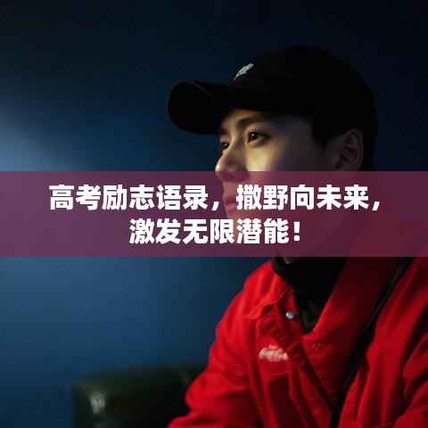 高考励志语录,撒野向未来,激发无限潜能!