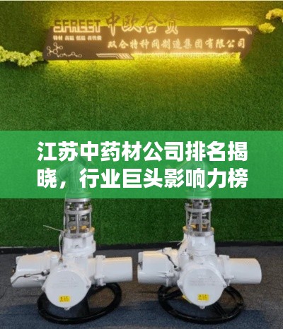 江苏中药材公司排名揭晓,行业巨头影响力榜单揭秘!