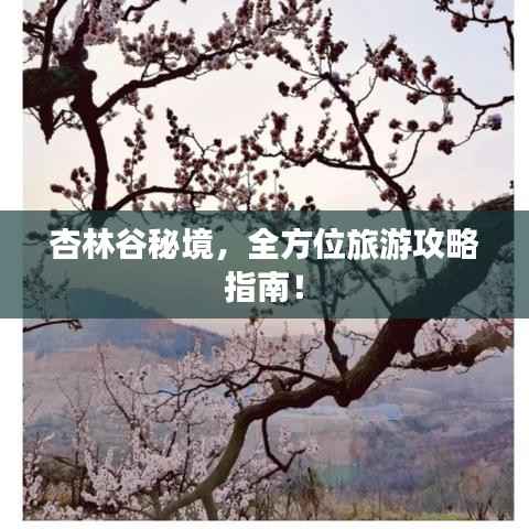 杏林谷秘境,全方位旅游攻略指南!