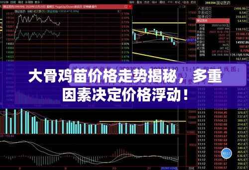 大骨鸡苗价格走势揭秘,多重因素决定价格浮动!